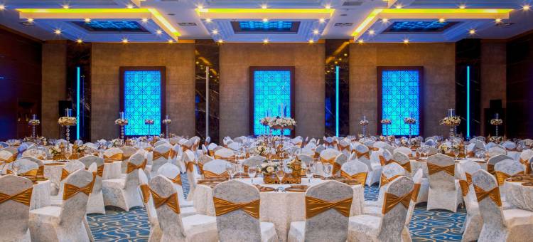 迪亚巴克尔丽笙蓝标酒店(Radisson Blu Hotel Diyarbakir, Turkey)图片