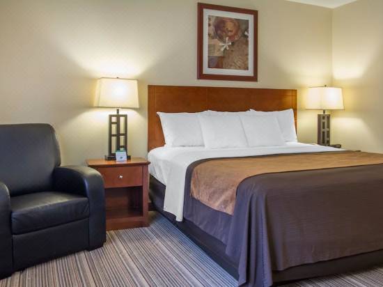 Comfort Inn Cockatoo Near Lax Airport Hotel Reviews And Room
