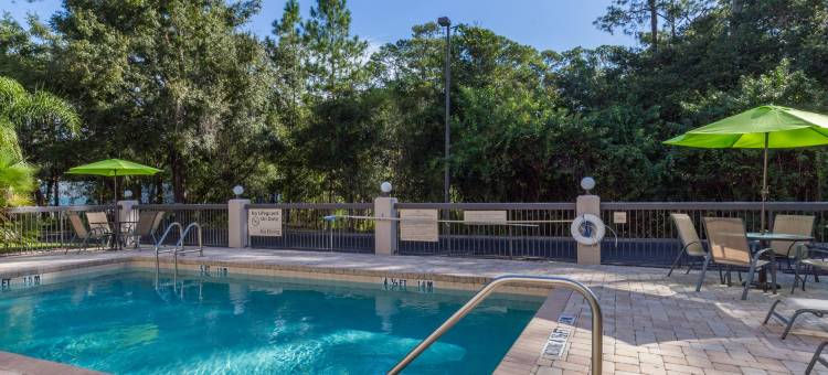 坦帕布兰登希尔顿Spark酒店(Spark by Hilton Tampa Brandon)图片