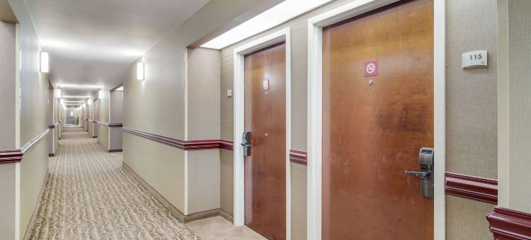 格鲁吉亚坎顿凯艺套房酒店(Quality Inn & Suites Canton, GA)图片