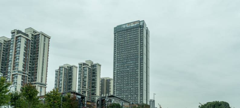 凌云阁精品酒店(成都王府井李家沱地铁站店)图片