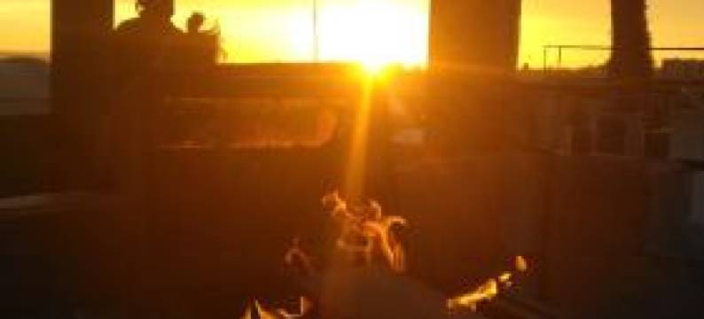 整体斯堪的纳维亚之家(Holistic Scandinavia House)图片