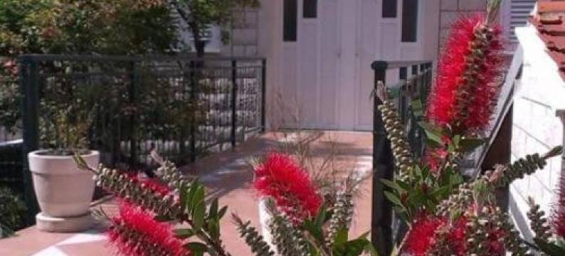 巴尔塔扎尔公寓式酒店(Apartments Baltazar with Sea View&Jacuzzi)图片