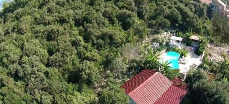 Relax Tiny Villas 40 Meters of the Beach图片