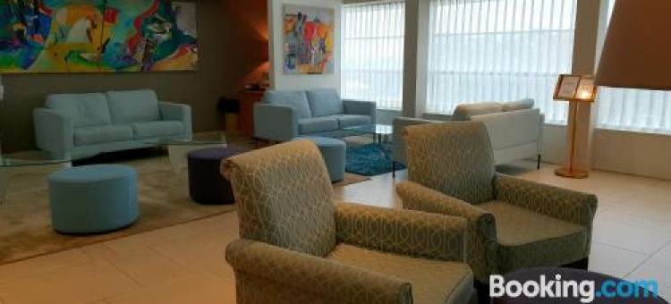 橄榄精品酒店-纳哈里亚(Arroyo Boutique&Business Hotel- by Star Hotels)图片