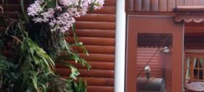 奥尔内罗山林小屋(Cabañas El Hornero)图片