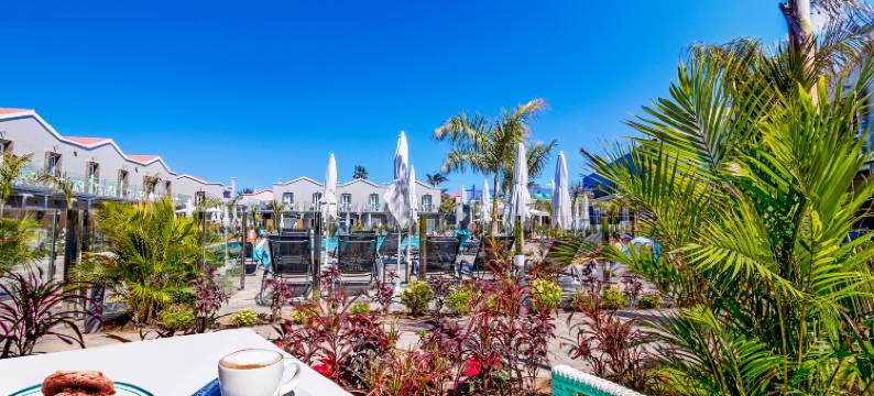 卡尔德洛尼斯感官精选酒店-建议成人入住(Hotel LIVVO Los Calderones - Adults Recommended)图片