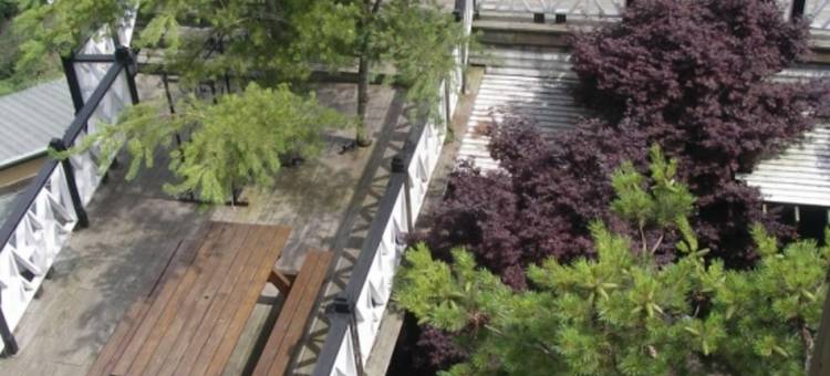 南投清境娜噜弯渡假景观木屋民宿图片