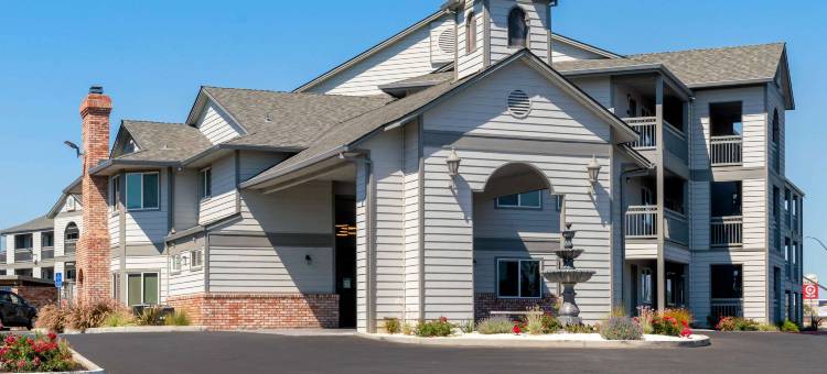 舒适酒店(Comfort Inn)图片