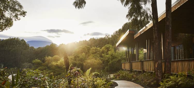 One&Only猩林栖境(One&Only Gorilla's Nest)图片