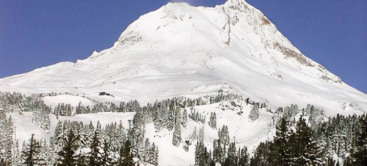 桑迪贝斯特韦斯特酒店(Best Western Sandy Inn)图片