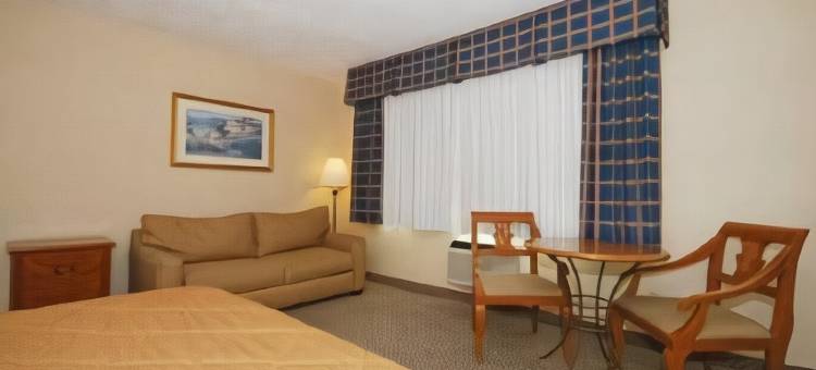 圣迭戈机场海港舒适酒店(Comfort Inn San Diego Airport at the Harbor)图片