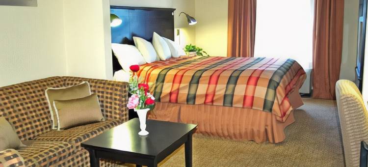 酒吧湾贝斯特韦斯特酒店(Best Western Bar Harbour Inn)图片