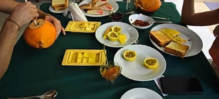 王子别墅(Prince Beach Hotel Bentota)图片