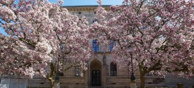 比克酒店(Hotel Beek by Anna)图片