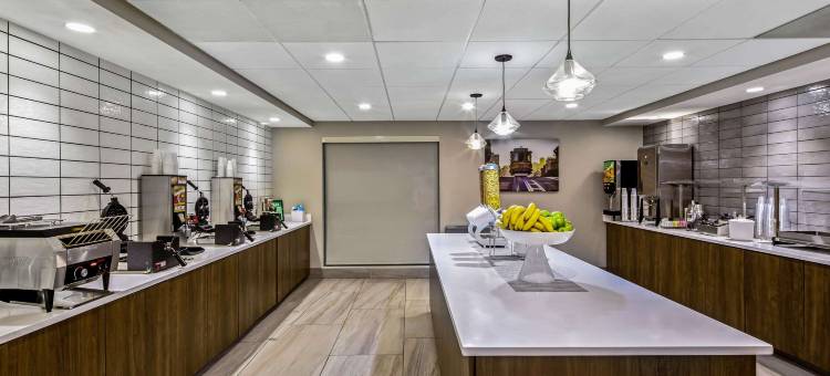 旧金山机场北拉昆塔温德姆套房酒店(La Quinta Inn & Suites by Wyndham San Francisco Airport N)图片