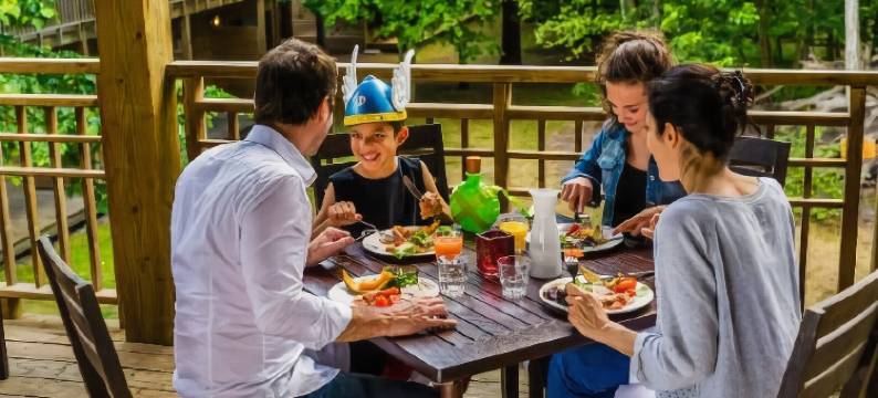 三只猫头鹰酒店(Hotel les Trois Hiboux Parc Asterix)图片