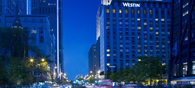 芝加哥密歇根大道威斯汀酒店(The Westin Michigan Avenue Chicago)图片