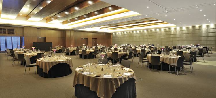 马德里塔欧洲之星酒店(Eurostars Madrid Tower)图片
