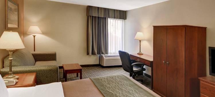 北威奇托福尔斯舒适酒店(Comfort Inn Wichita Falls North)图片