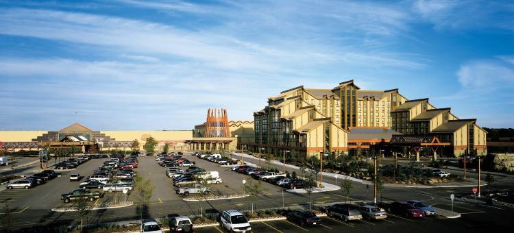 舒适酒店(Comfort Inn)图片