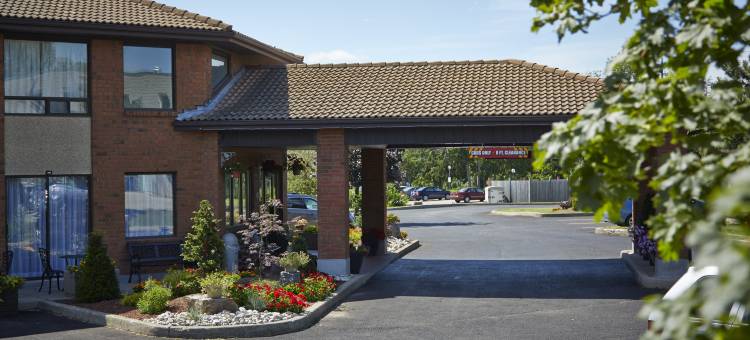 机场东部舒适酒店(Comfort Inn Airport East)图片