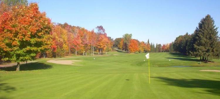 舒适酒店(Comfort Inn)图片