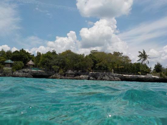 Sea Turtle House Moalboal Hotel Reviews And Room Rates