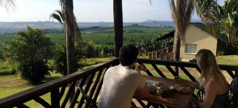 纳巴拿木屋旅馆(Nabana Lodge)图片