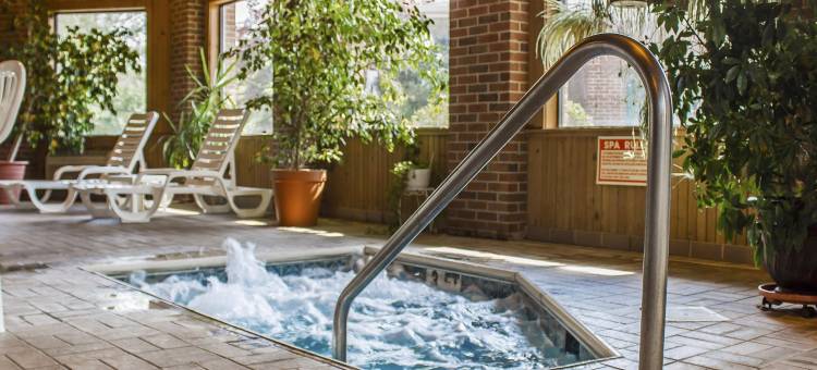 芒特弗农舒适酒店(Comfort Inn)图片