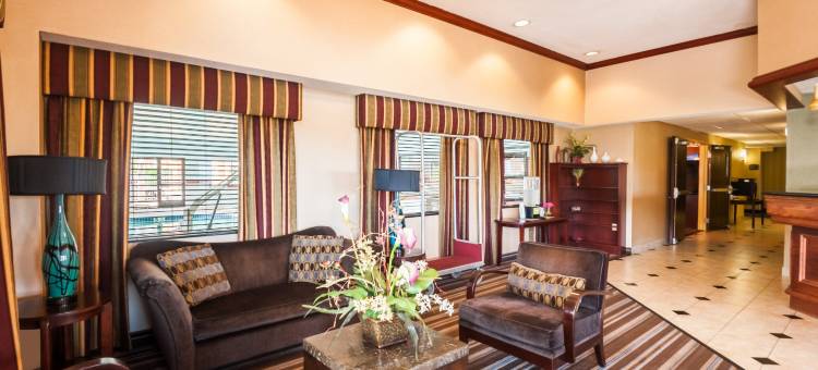 东北镇套房舒适酒店(Comfort Inn & Suites)图片