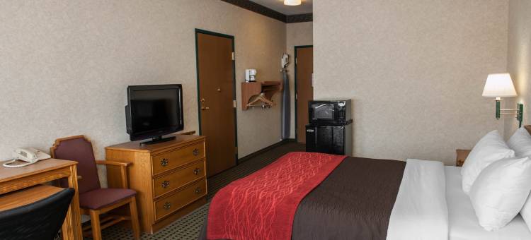 富兰克林呗盟套房酒店(Baymont Inn and Suites by Wyndham Franklin, Indiana)图片