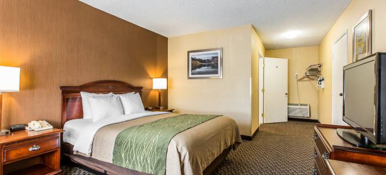 毕晓普舒适酒店(Comfort Inn Bishop)图片