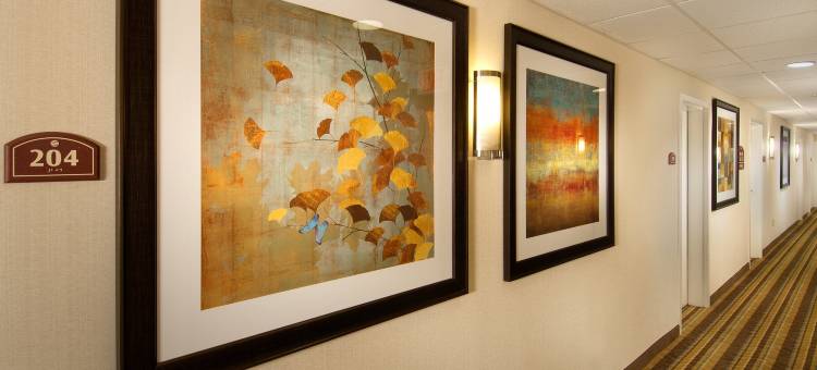 舒适酒店-特区市区/会议中心(Comfort Inn Downtown DC/Convention Center)图片