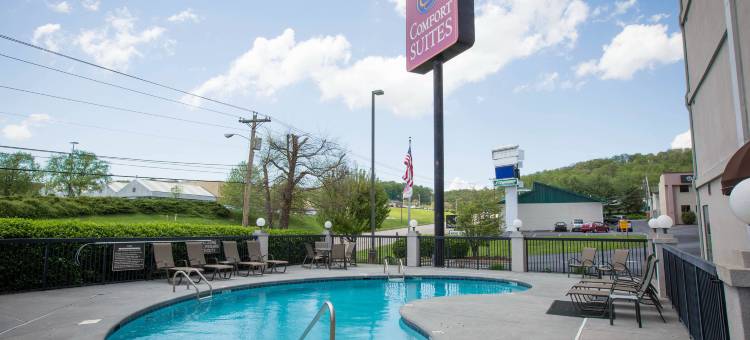 约翰逊城舒适套房酒店-近大学城(Comfort Suites Johnson City Near University)图片