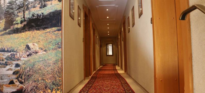 松莱登德瓦酒店(Hotel Sonnleiten)图片