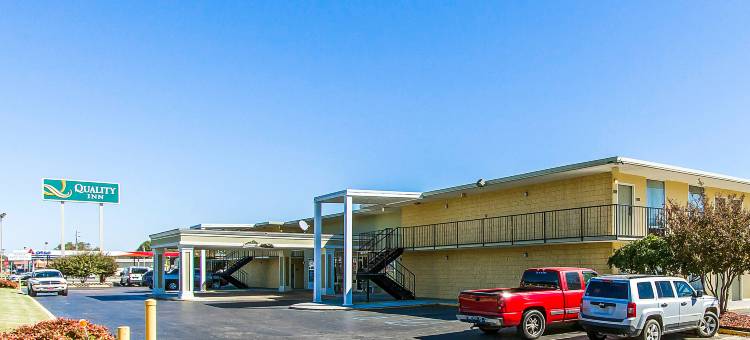 木树旅馆(Mill Tree Inn Millington)图片