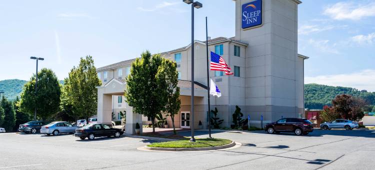 林奇堡希尔顿Spark酒店(Spark by Hilton Lynchburg - University Area & Hwy 460)图片