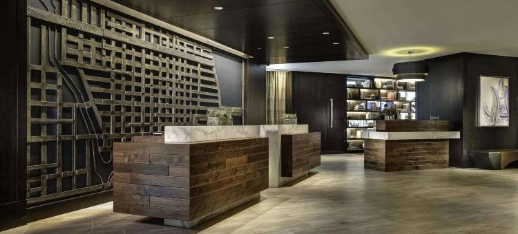 芝加哥壮丽大道凯悦尚萃酒店(Hyatt Centric Chicago Magnificent Mile)图片