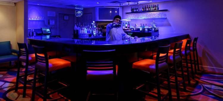 芝加哥奥黑尔温德姆酒店(Wyndham Chicago O'Hare)图片