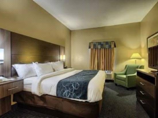 Comfort Suites Miamisburg Dayton South Hotel Reviews And Room Rates