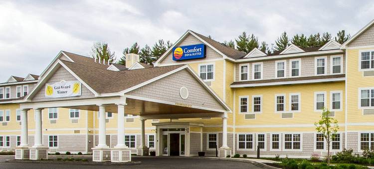 威尔顿舒适套房酒店(Comfort Inn & Suites)图片