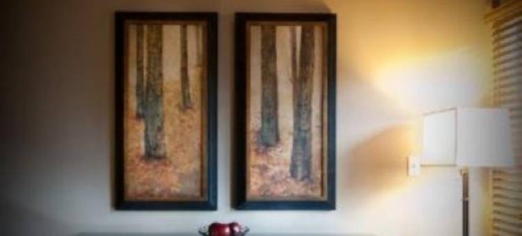 行政惠斯勒村山边旅馆酒店(Executive The Inn At Whistler Village & Mountain Side Hotel)图片