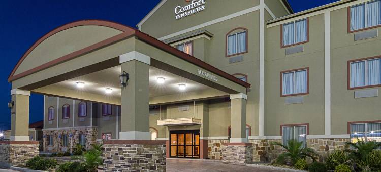 蒙那汉斯 I-20 舒适套房酒店(Comfort Inn & Suites Monahans I-20)图片