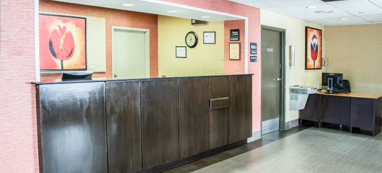 舒适套房酒店-近达拉姆杜克大学(Comfort Inn & Suites Durham Near Duke University)图片