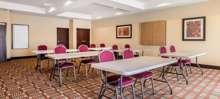 近伯特利学院舒适套房酒店(Comfort Inn & Suites Near Bethel College)图片