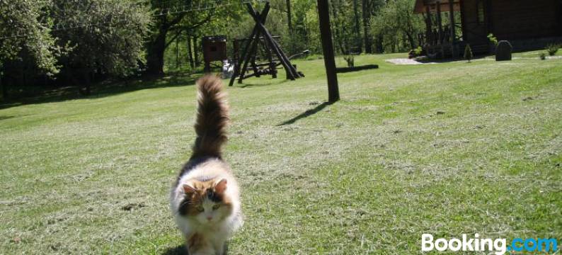 Sodyba Duburiai图片