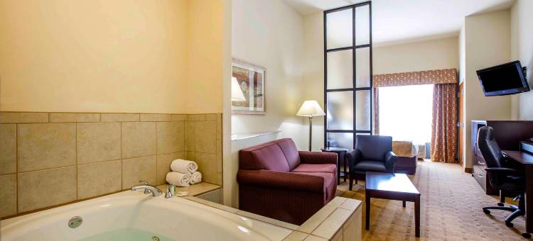 拜伦华纳罗宾斯舒适套房酒店(Comfort Suites Byron Warner Robins)图片