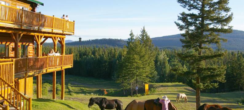 云杉山丘度假村及水疗中心(Spruce Hill Resort & Spa)图片