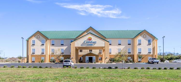 舒适酒店-莱星顿南(Comfort Inn Lexington South)图片